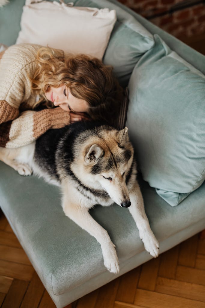 Wohnformen – Nachhaltiges & soziales Wohnen mit Symbiovita (e.V.) 5 Wohnformen – Nachhaltiges & soziales Wohnen mit Symbiovita (e.V.) A woman and her husky dog enjoy a cozy moment on a teal sofa indoors.
