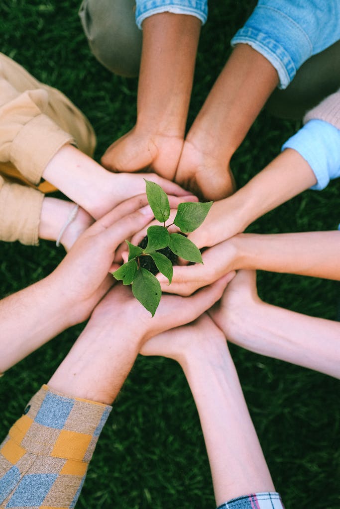 Startseite 6 Startseite Hands united around a plant symbolizing teamwork and eco-friendly efforts outdoors.